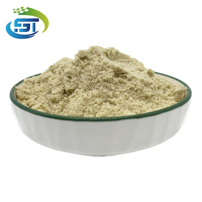 Powder Type Yellow BMK Glycidate BMK Powder  99% White Crystalline C10H11NaO3