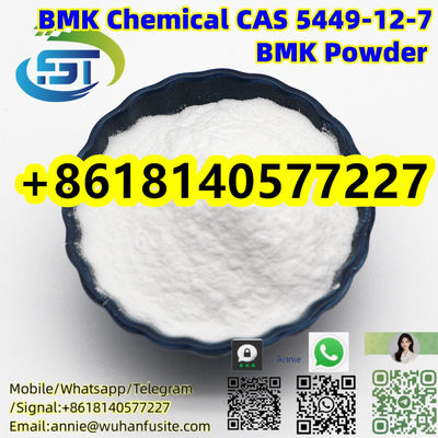 High quality White Powder  BMK Powder Glycidic Acid C10H9NaO3