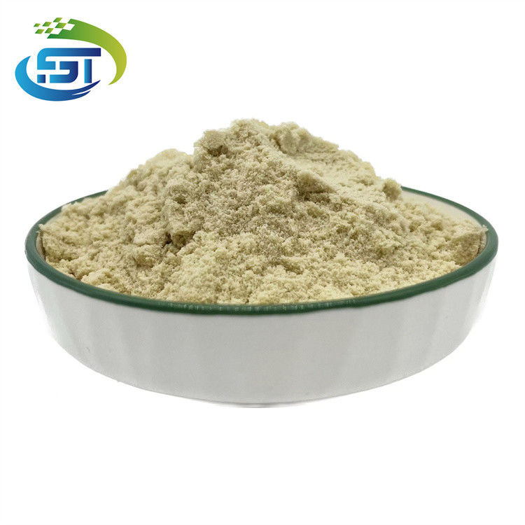 Powder Type Yellow BMK Glycidate BMK Powder  99% White Crystalline C10H11NaO3